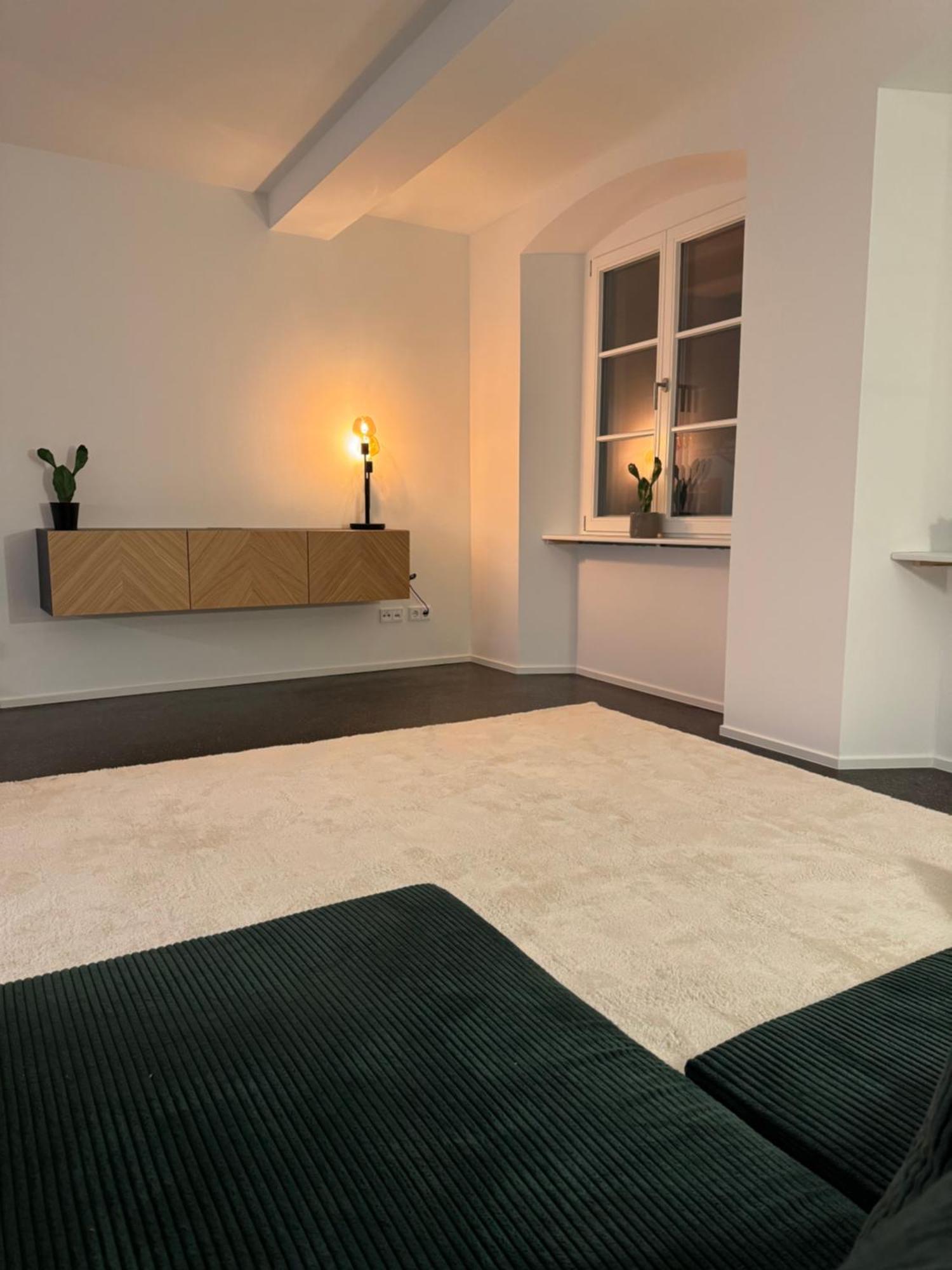 Isaak Apartment Stadtperle Waldshut-Tiengen Exterior foto